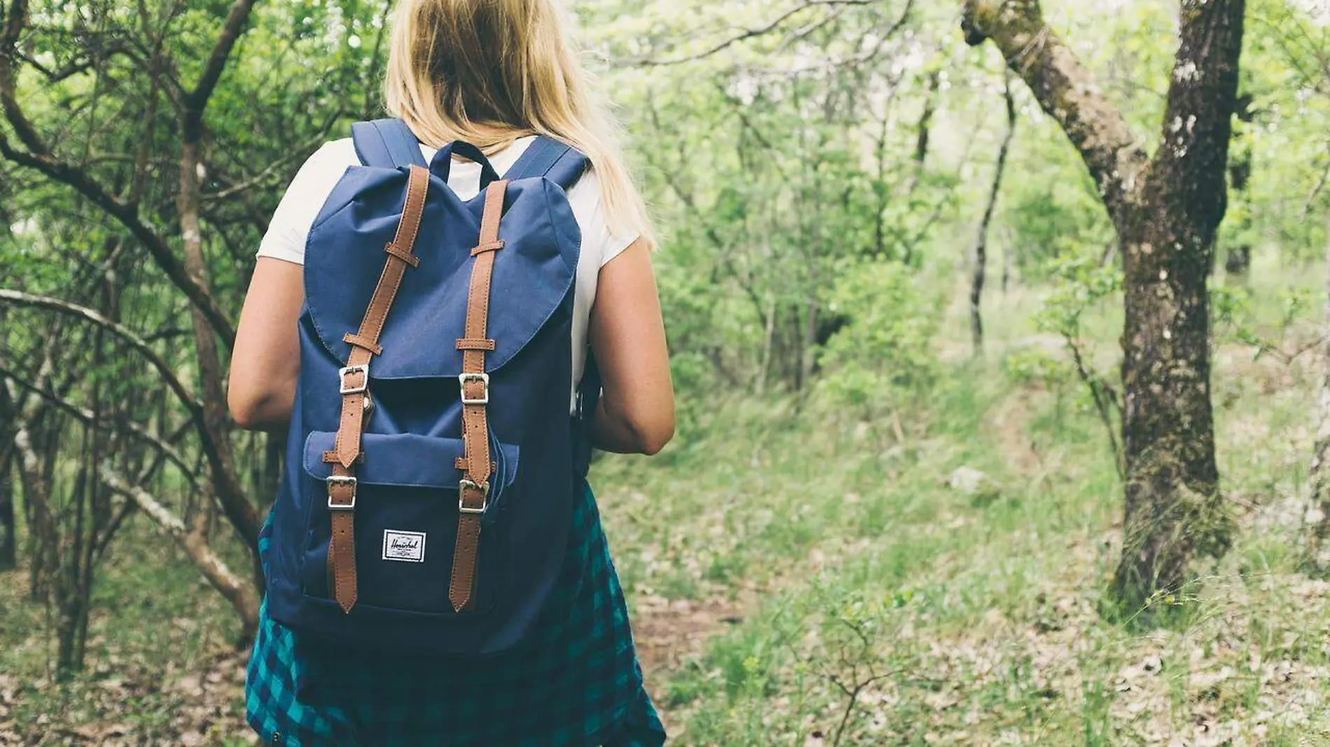 Mujer con mochila camina por el bosque